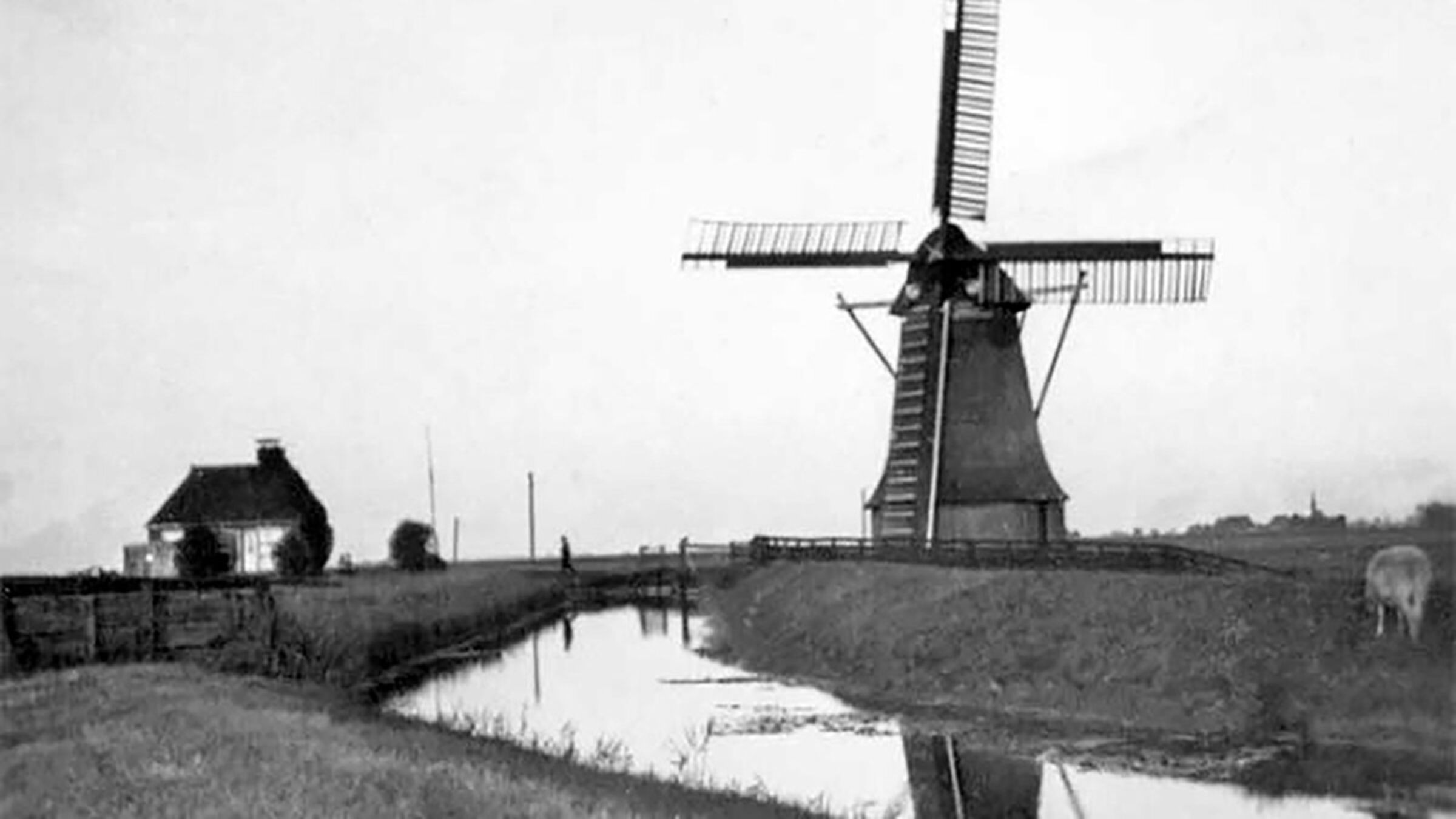 -molen-geschiedenis