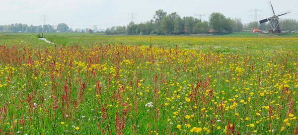 natuurgebied