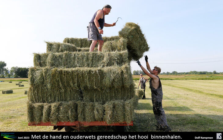 hp-fotowedstrijd-beelden12