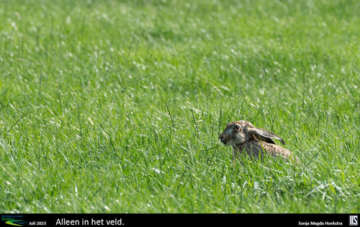 hp-fotowedstrijd-beelden15