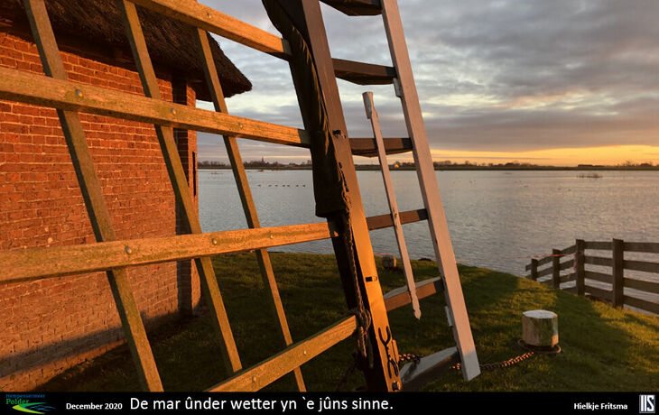 hp-fotowedstrijd-beelden3