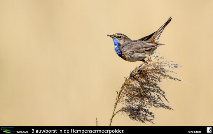 hp-fotowedstrijd-beelden9